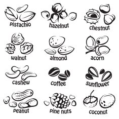 nuts icon set