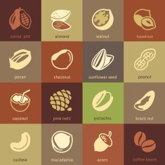 Web icons collection - nuts beans and seed