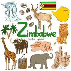 Collection of Zimbabwe icons N2