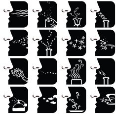 Sense of Smell