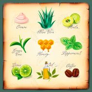 Set of natural cosmetics ingredients