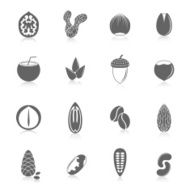 Set of nuts icons N3