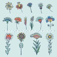 Set of Decorative Floral Elements