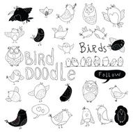 Bird doodle set vector illustration