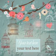cute cages and birds
