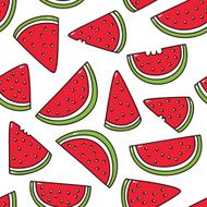 Watermelon Pattern N2