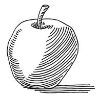 Apple Drawing N3