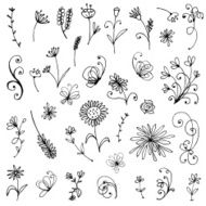 Sketch of floral elements for your design