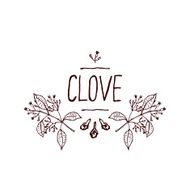 Herbs and Spices Collection - Clove