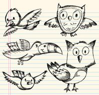 Doodle Sketch Bird Set