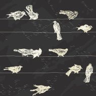 Birds pattern N3