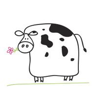 cow N12