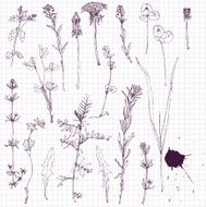 set of line drawing flowers and grass