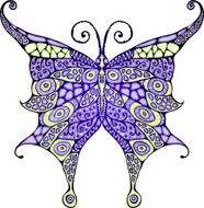 butterfly N12