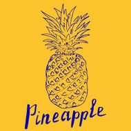 Pineapple Hand drawn sketch grunge outline vector illustration popart style