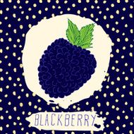 Blackberry hand drawn sketched fruit with leaf on blue background