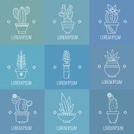 Set of succulent plants and cactuses in pots N4