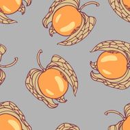 Stylized seamless pattern with handdrawn physalis