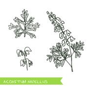 Handdrawn Illustration - Health and Nature Set N5