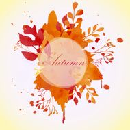 floral concept of circle frame