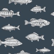 Hand drawn sketch vector seamless pattern of different fish N3