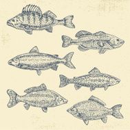 Hand drawn sketch vector seamless pattern of different fish N4