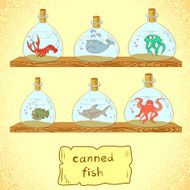 Collection of marine animals in bottles