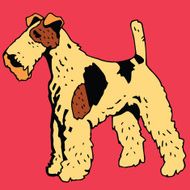 Terrier Dog