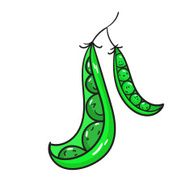 Vegetable peas vector illustration N2