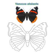 Educational game coloring book butterfly vector N8