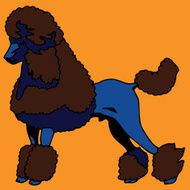 Poodle Dog N2