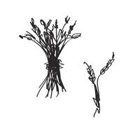 Simple doodle of a sheaf wheat