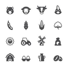 Soulico - Agriculture