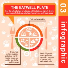 infographic concept eatwell plate