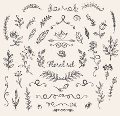 Doodle nature elements