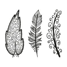 Doodling hand drawn amazing feathers with patterns