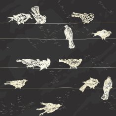 Birds pattern N3