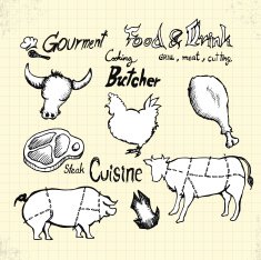 Doodle Gourment and Meat free image download