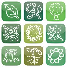Nature and plant glossy icon blocks