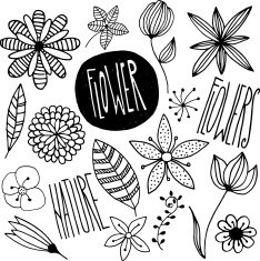 Flowers N12