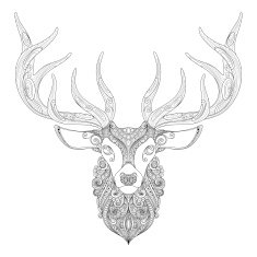 Vector Ornate Deer Horned Head