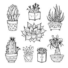 Hand drawn illustration - Set of cute cactus and succulents