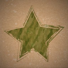 Vector background with grunge camouflage star N2