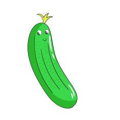 Vegetable cucumber vector illustration N2