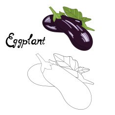 Educational game coloring book eggplant vector N2