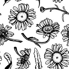 Beautiful vintage background with black daisies seamless patern on white