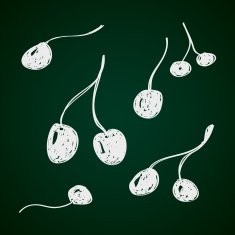 Simple doodle of some cherries