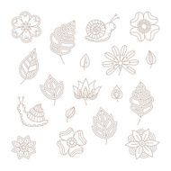 Vector vintage floral design elements set in mono line style