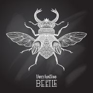 Chalkboard Beetle Decorative