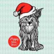 Dog In Christmas Hat